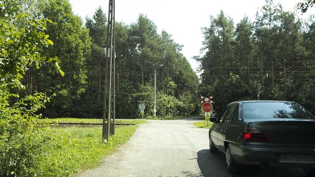 Plik: 4530 - prawo jazdy, pytania, e-kurs, wykłady online
