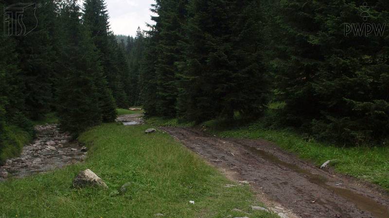 Plik: 5400 - prawo jazdy, pytania, e-kurs, wykłady online